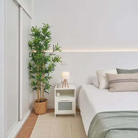 Timon Apartman